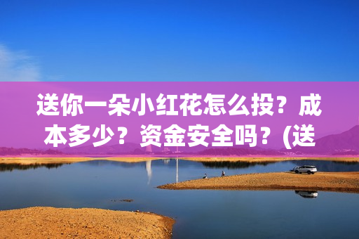 送你一朵小红花怎么投？成本多少？资金安全吗？(送你一朵小红花演员表)