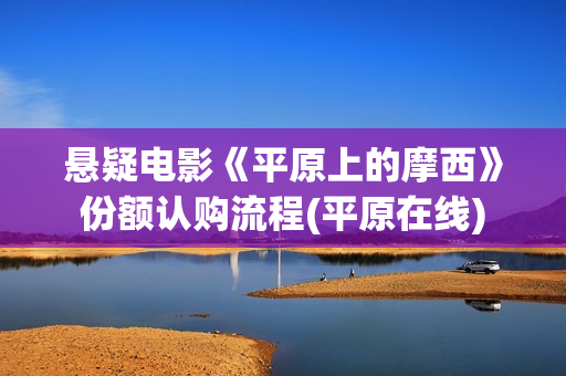 悬疑电影《平原上的摩西》份额认购流程(平原在线)