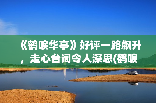 《鹤唳华亭》好评一路飙升，走心台词令人深思(鹤唳华亭说的什么)