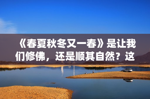 《春夏秋冬又一春》是让我们修佛，还是顺其自然？这是个难题(春夏秋冬又一春电影表达什么)