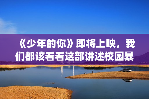 《少年的你》即将上映，我们都该看看这部讲述校园暴力的电影(少年的你原片)