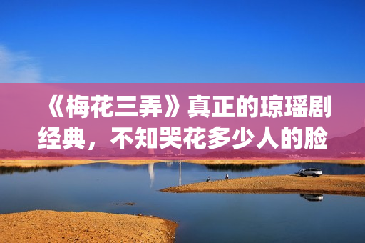 《梅花三弄》真正的琼瑶剧经典，不知哭花多少人的脸(梅花三弄mv)