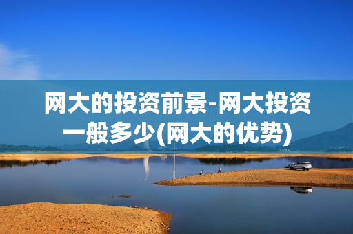 网大的投资前景-网大投资一般多少(网大的优势)