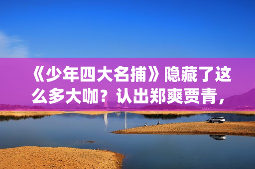 《少年四大名捕》隐藏了这么多大咖？认出郑爽贾青，却没认出她！(少年四大名捕林峰)