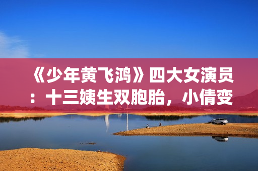 《少年黄飞鸿》四大女演员：十三姨生双胞胎，小倩变美，最红是她(少年黄飞鸿之铁马骝免费观看)