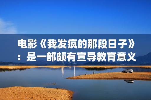 电影《我发疯的那段日子》：是一部颇有宣导教育意义的好作品！(我发疯了)