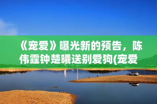 《宠爱》曝光新的预告，陈伟霆钟楚曦送别爱狗(宠爱ing)