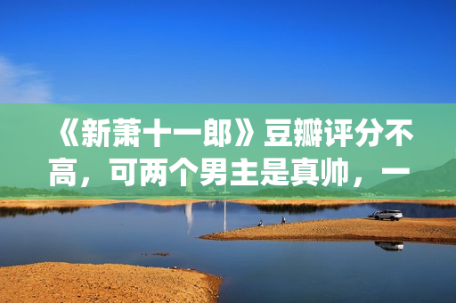 《新萧十一郎》豆瓣评分不高，可两个男主是真帅，一个比一个养眼(新萧十一郎 电视剧)