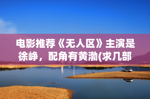 电影推荐《无人区》主演是徐峥，配角有黄渤(求几部无人区的电影)