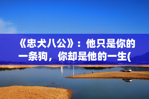 《忠犬八公》：他只是你的一条狗，你却是他的一生(忠犬八公导演是谁)