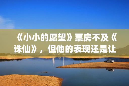 《小小的愿望》票房不及《诛仙》，但他的表现还是让我忍不住称赞(小小的愿望结局)