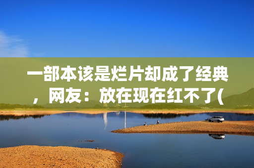 一部本该是烂片却成了经典，网友：放在现在红不了(一部本该是烂片的电视剧)