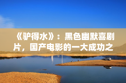 《驴得水》：黑色幽默喜剧片，国产电影的一大成功之作！(驴得水背后深层含义)