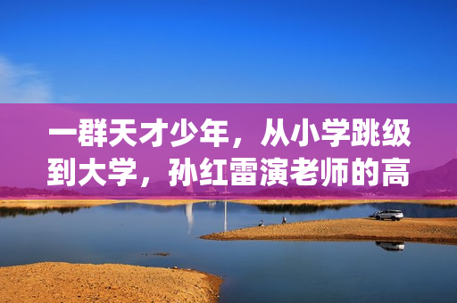 一群天才少年，从小学跳级到大学，孙红雷演老师的高分小众电影(一群天才少年的小说)