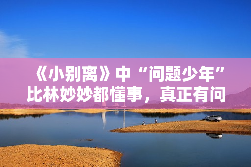 《小别离》中“问题少年”比林妙妙都懂事，真正有问题却是父母们