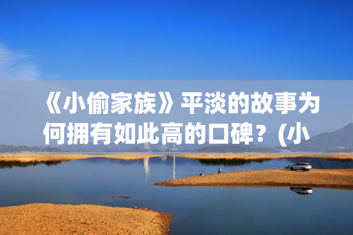 《小偷家族》平淡的故事为何拥有如此高的口碑？(小偷家族讲的是啥)