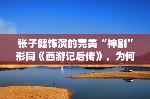 张子健饰演的完美“神剧”形同《西游记后传》，为何却被点名批评(张子健饰演的完美人生)