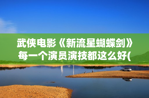 武侠电影《新流星蝴蝶剑》每一个演员演技都这么好(新流星蝴蝶剑 在线播放)