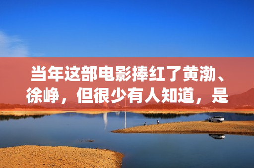 当年这部电影捧红了黄渤、徐峥，但很少有人知道，是刘德华投资的(当红电影)