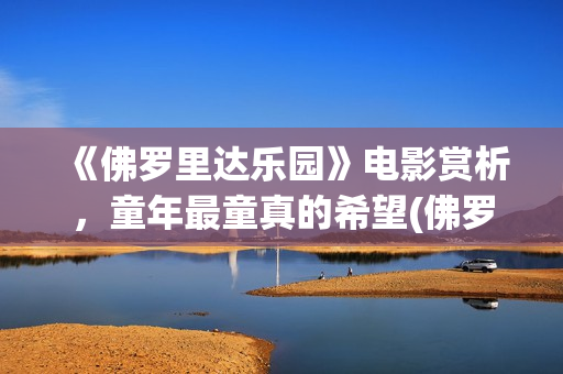 《佛罗里达乐园》电影赏析，童年最童真的希望(佛罗里达乐园解析)