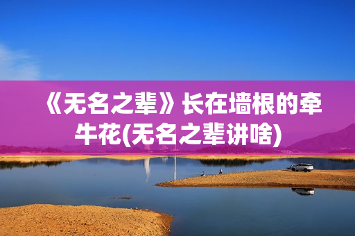 《无名之辈》长在墙根的牵牛花(无名之辈讲啥)