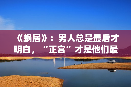 《蜗居》：男人总是最后才明白，“正宫”才是他们最坚定的同盟(蜗居男女)
