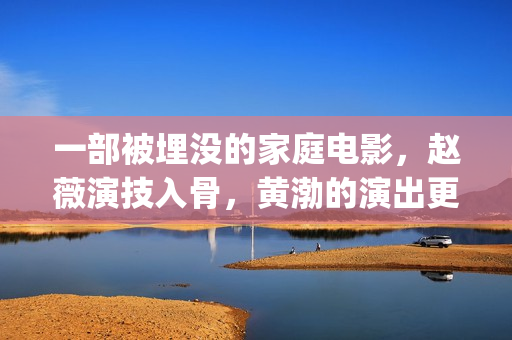 一部被埋没的家庭电影，赵薇演技入骨，黄渤的演出更是烙印级别(被埋没的作品)