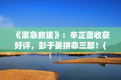 《紧急救援》：辛芷蕾收获好评，彭于晏拼命三郎！(紧急救援协助异常 宝马)