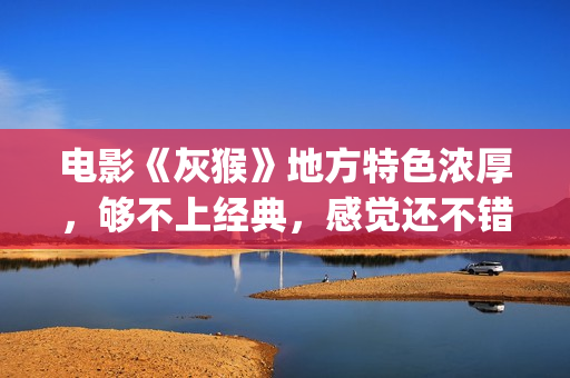 电影《灰猴》地方特色浓厚，够不上经典，感觉还不错值得一看(电影灰猴完整视频)