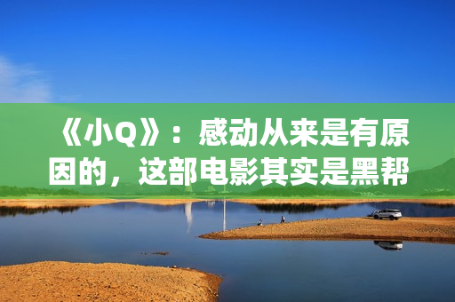 《小Q》：感动从来是有原因的，这部电影其实是黑帮片(电影小q里面的歌曲)