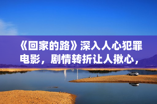 《回家的路》深入人心犯罪电影，剧情转折让人揪心，令人十分感动(回家的路解析)