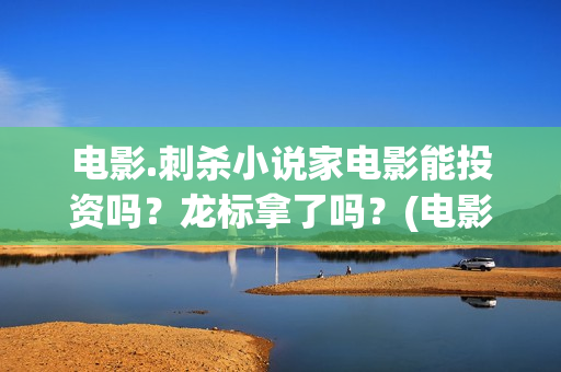 电影.刺杀小说家电影能投资吗？龙标拿了吗？(电影刺杀小说家2票房多少)