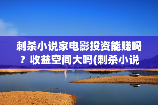 刺杀小说家电影投资能赚吗？收益空间大吗(刺杀小说家2)