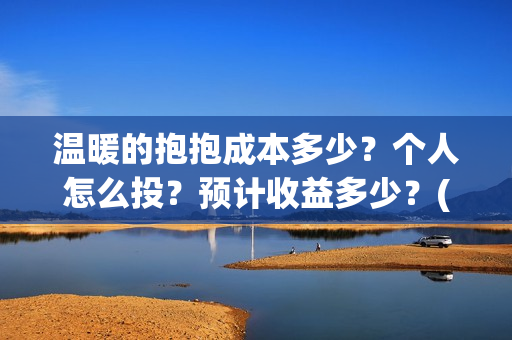 温暖的抱抱成本多少？个人怎么投？预计收益多少？(温暖的抱抱 成本)