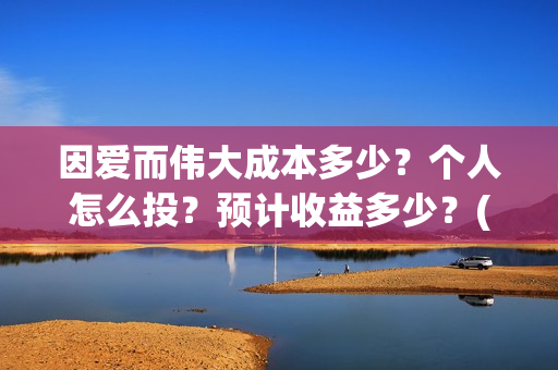 因爱而伟大成本多少？个人怎么投？预计收益多少？(因爱而伟大好不好看)
