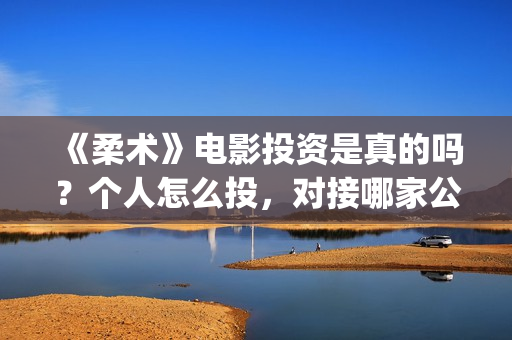 《柔术》电影投资是真的吗？个人怎么投，对接哪家公司(柔术这部电影怎么样)