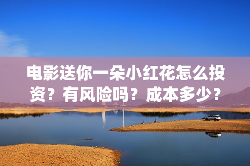 电影送你一朵小红花怎么投资？有风险吗？成本多少？(电影送你一朵小红花观后感)