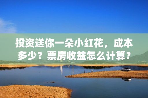 投资送你一朵小红花，成本多少？票房收益怎么计算？(投资送你一朵小红花骗局)