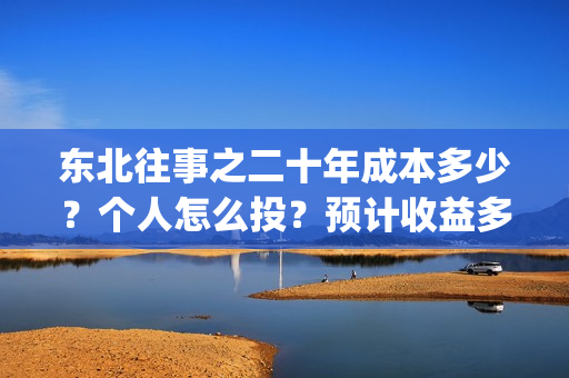 东北往事之二十年成本多少？个人怎么投？预计收益多少？(东北往事之二十年电影完整版)