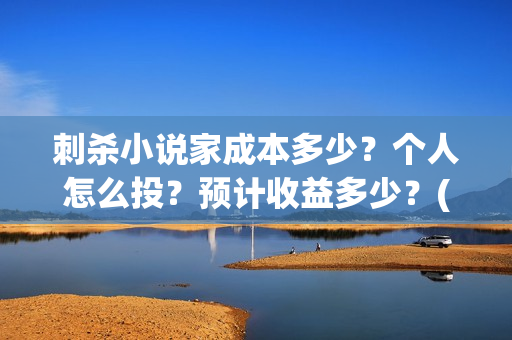 刺杀小说家成本多少？个人怎么投？预计收益多少？(《刺杀小说家》成本)