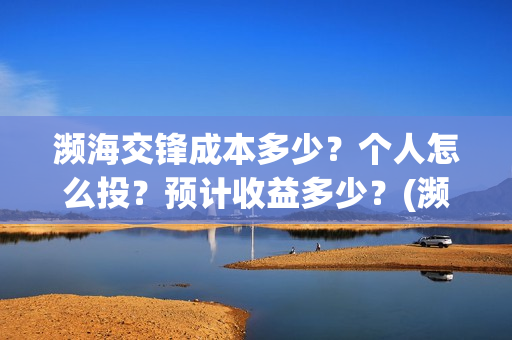 濒海交锋成本多少？个人怎么投？预计收益多少？(濒海交锋最新进展)
