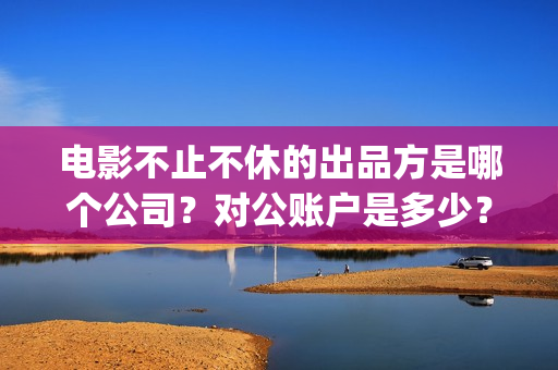 电影不止不休的出品方是哪个公司？对公账户是多少？(不止不休 mp4)