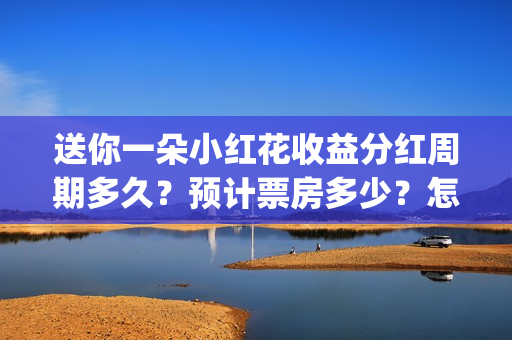 送你一朵小红花收益分红周期多久？预计票房多少？怎么投资吗？(送你一朵小红花电影剧情介绍)