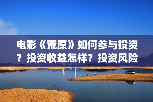 电影《荒原》如何参与投资？投资收益怎样？投资风险大吗？(电影《荒原》如何拍摄)