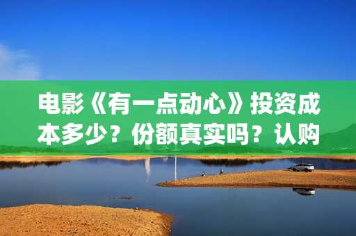电影《有一点动心》投资成本多少？份额真实吗？认购标准？(电影有一点动心百度百科)