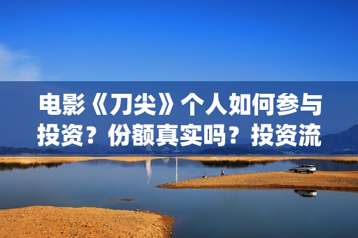 电影《刀尖》个人如何参与投资？份额真实吗？投资流程？(电影《刀尖》在线观看)