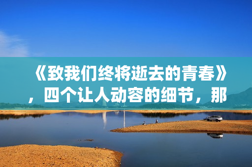 《致我们终将逝去的青春》，四个让人动容的细节，那是你的青春吗(致我们终将逝去的青春小说免费阅读)