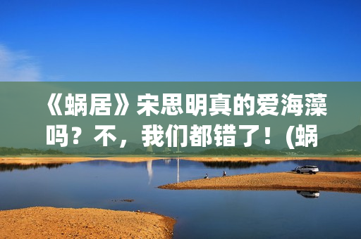 《蜗居》宋思明真的爱海藻吗？不，我们都错了！(蜗居宋思明和海藻亲热是在哪一集)
