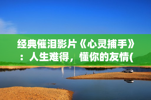 经典催泪影片《心灵捕手》：人生难得，懂你的友情(重磅催泪电影)