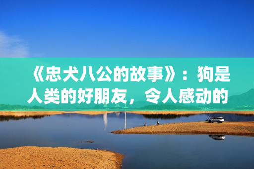 《忠犬八公的故事》：狗是人类的好朋友，令人感动的真实故事(忠犬八公的故事简介)
